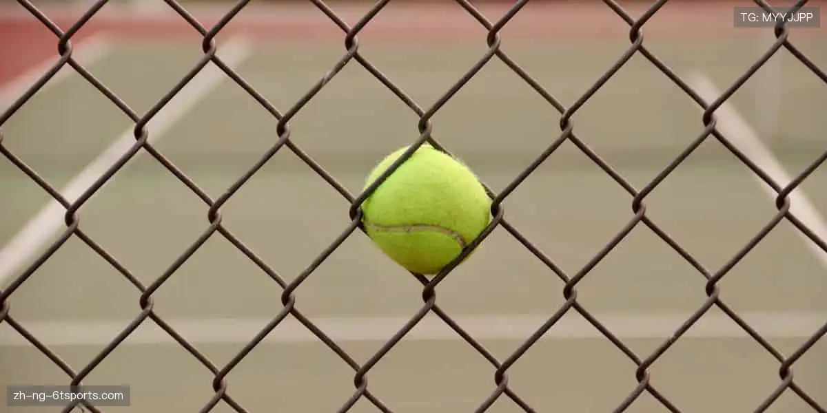 🏀突破极限，成就非凡！🌟